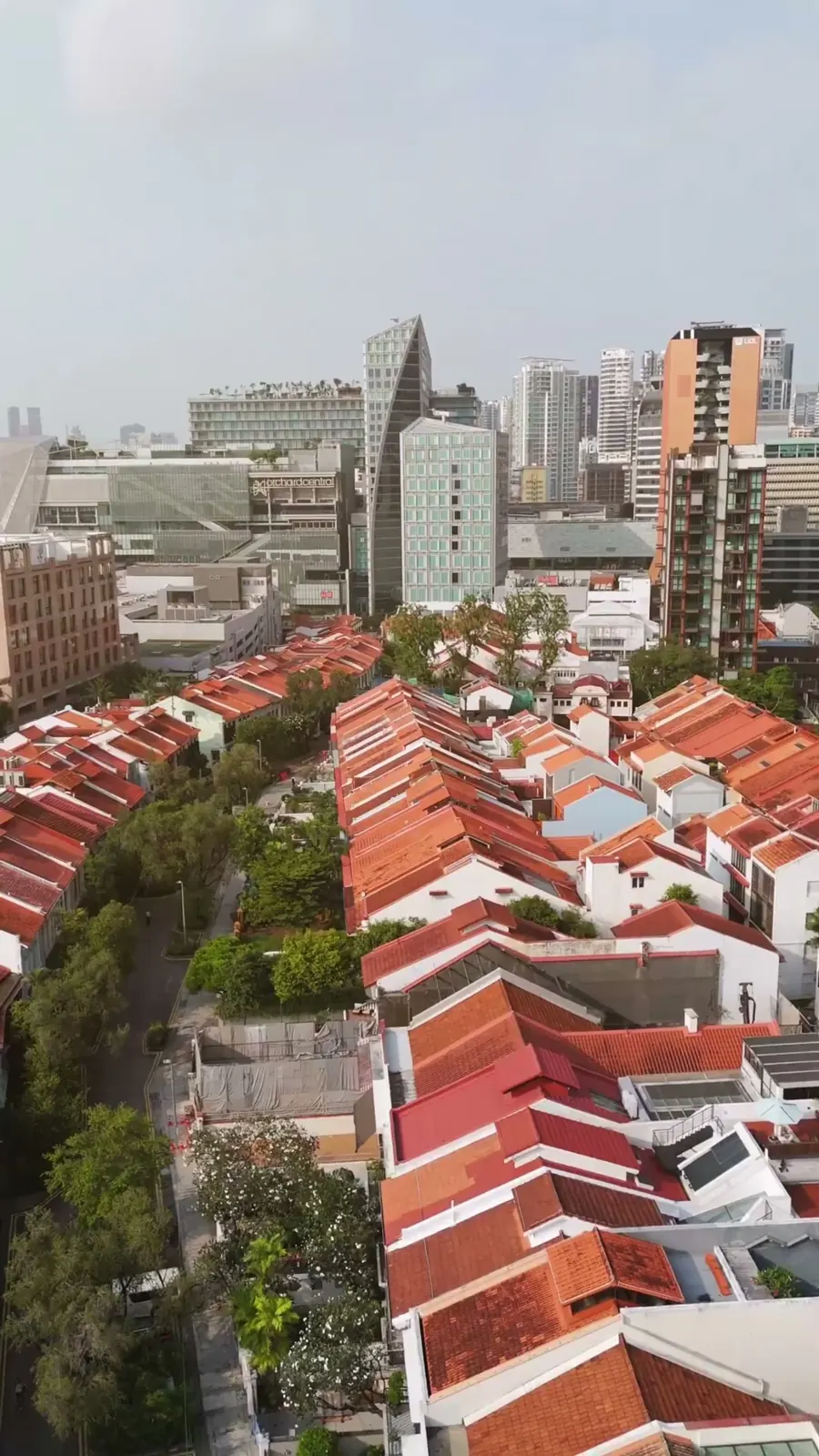 ECO + 7 Design: interior project videos
